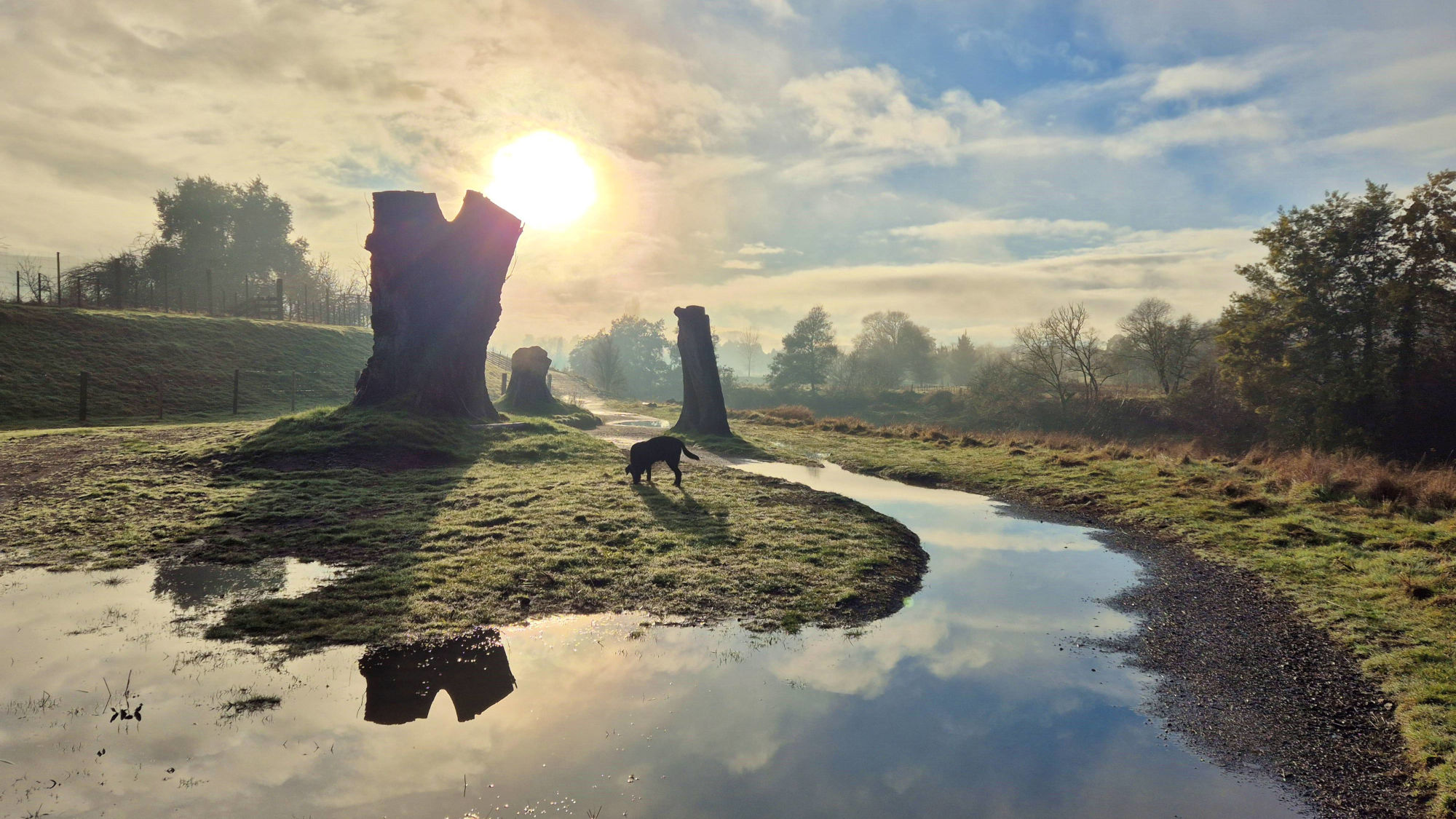 Live Dowsing and Card Readings